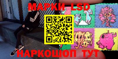 стаф Краснодар