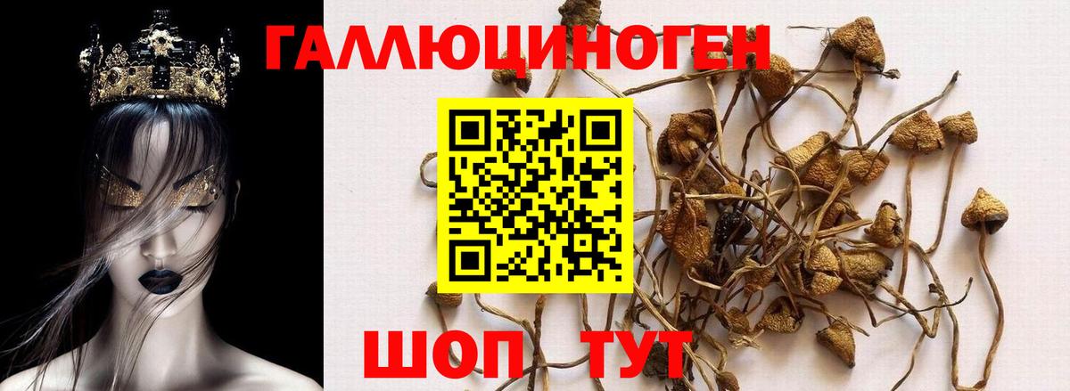 Галлюциногенные грибы прущие грибы  Псилоцибиновые грибы Cubensis  Казань  Вход с VPN 