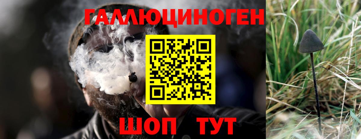 Галлюциногенные грибы Cubensis Казань